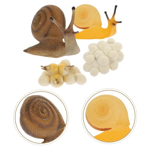 BESTonZON Realistisches Schnecken wachstumszyklus Kunststoff Pädagogisches Tiermodell für Lernspielzeug Ab Monaten Interaktives Kognitionsspielzeug und Dekoration BESTonZON Realistisches Schnecken wachstumszyklus Kunststoff Pädagogisches Tiermodell für Lernspielzeug Ab Monaten Interaktives Kognitionsspielzeug und Dekoration von BESTonZON