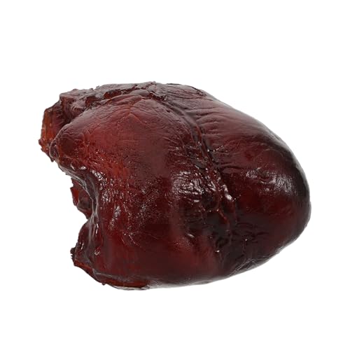 BESTonZON Realistisches Schweineherz Modell Detailliert Simuliertes Lebensmittel Requisit Für Restaurantdekoration Fotografie Zubehör Kreative Küchen Schaufensterdekoration BESTonZON Realistisches Schweineherz Modell Detailliert Simuliertes Lebensmittel Requisit Für Restaurantdekoration Fotografie Zubehör Kreative Küchen Schaufensterdekoration von BESTonZON