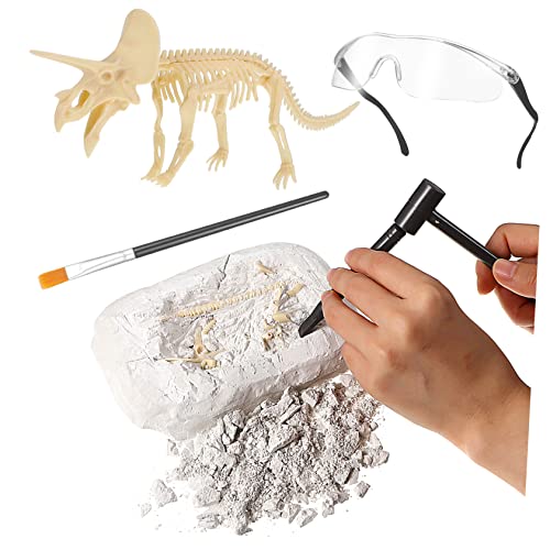 BESTonZON Spielzeug Kinder bastelset basteln für Kinder bastelzeug für Kinder Safe Toy Kindergeburtstagsgeschenk Kinder spielset Bausatz Dinosaurier Graben Dinosaurier-Ausgrabungsset Plastik von BESTonZON