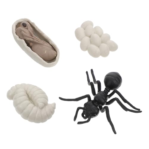 BESTonZON Worker Ants Lebenszyklus Modell Realistische Tierfigur für Pädagogisches Lernspielzeug Fördert Vorstellungskraft und Farberkennung Teiliges Kognitives Unterrichtszubehör BESTonZON Worker Ants Lebenszyklus Modell Realistische Tierfigur für Pädagogisches Lernspielzeug Fördert Vorstellungskraft und Farberkennung Teiliges Kognitives Unterrichtszubehör von BESTonZON