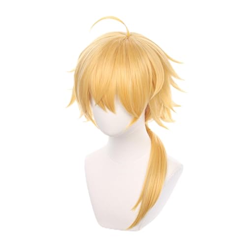 AnimeKostüm,Cosplay Perücke, Goldene Langhaarperücke, Anime-Kostümperücke mit glattem Haar und Pony und Zopf von BFVAKBKYT