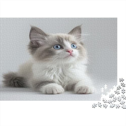 Cute Blue Eyed Kat Puzzle 1000 Teile Für Erwachsene Und Kinder Ab 14 Jahren Für Stressabbauer Puzzel 1000pcs (75x50cm) von BIYQBWPLX