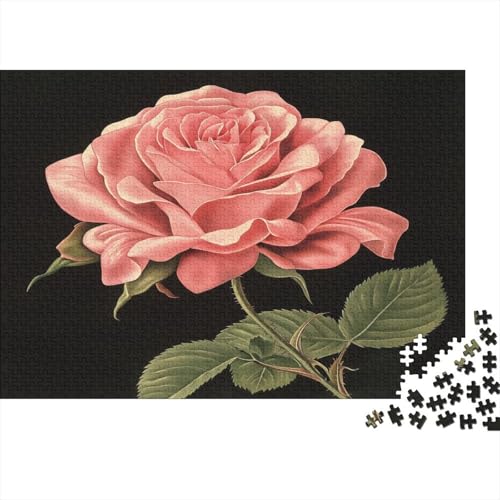 Rose 1000 Stück Puzzles Für Erwachsene Teenager Stress Abbauen Familien-Puzzlespiel 1000-teiliges Puzzle Kinder Lernspiel Spielzeug Geschenk Puzzel 1000pcs (75x50cm) von BJLZGUDFV