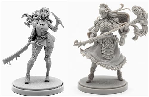 BJYCCAR 1/48 Ancient Female Samurai Warrior Resin Soldier Kit Unbemalt und unmontierte Figuren Resin Model Kit (2 Personen) // L9E7X97 von BJYCCAR