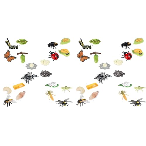 BLASHRD 40X Leben Zyklus Figuren Von Schmetterling, Spinne, Biene, Marien, Libelle, Kunststoff Insekten Figuren, Spielzeug, Schul Projekt für Kinder von BLASHRD