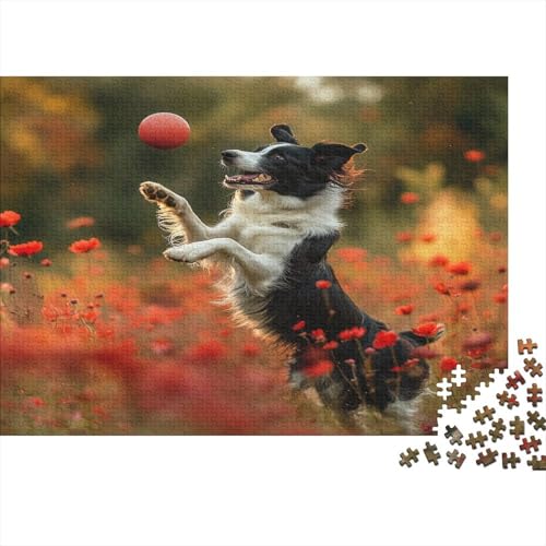 Border Collie 1000 Stück Puzzles Für Erwachsene Teenager Stress Abbauen Familien-Puzzlespiel Mit Poster in 1000-teiliges Puzzle Kinder Lernspiel Spielzeug Geschenk Puzzel 1000pcs (75x50cm) von BLWZXPQMT