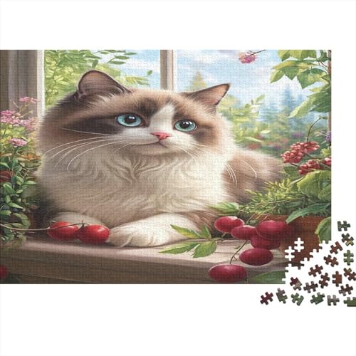 Ragdoll Katze Puzzlespiel 1000 Teile Erwachsene -Puzzle 1000 Stück Spiel Puzzles Für Erwachsene Kinder Puzzle Erwachsenen Puzzlespiel Puzzel 1000pcs (75x50cm) von BLWZXPQMT