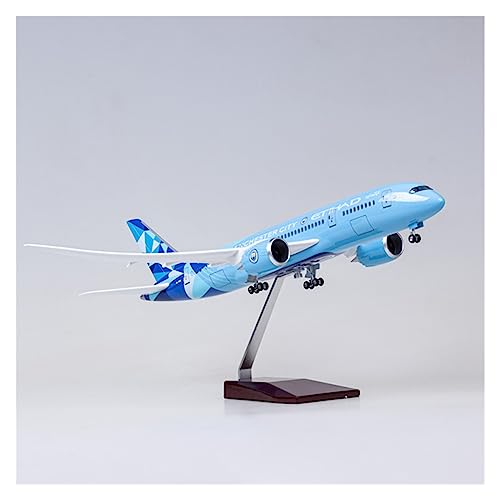 BMAONZ Kleinen Modellflugzeugen 1/130 Für B787 Dreamliner ETIHAD 43 cm Flugzeug Modell W Lichter Und Räder Fahrwerk Kunststoff Harz Flugzeug Spielzeug Miniatur Modelle(Taglia unica) von BMAONZ