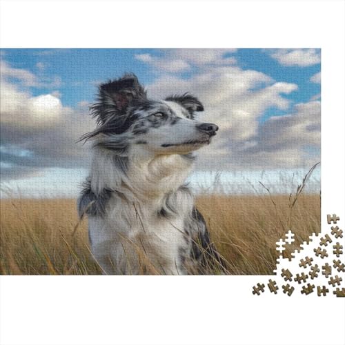 Australischer Schäferhund 1000 Stück Puzzles Für Erwachsene Teenager Stress Abbauen Familien-Puzzlespiel 1000-teiliges Puzzle Kinder Lernspiel Spielzeug Geschenk Puzzel 1000pcs (75x50cm) von BOAHZCJEG