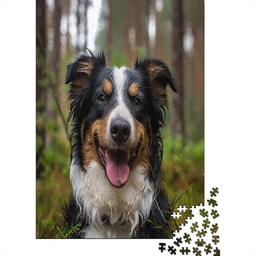 Australischer Schäferhund Puzzle 1000 Teile Erwachsene Puzzles Für Erwachsene Klassische Puzzles 1000 Teile Erwachsene Puzzlespiel Schwer Spielzeug Erwachsene Kinder Puzzel 1000pcs (75x50cm) von BOAHZCJEG