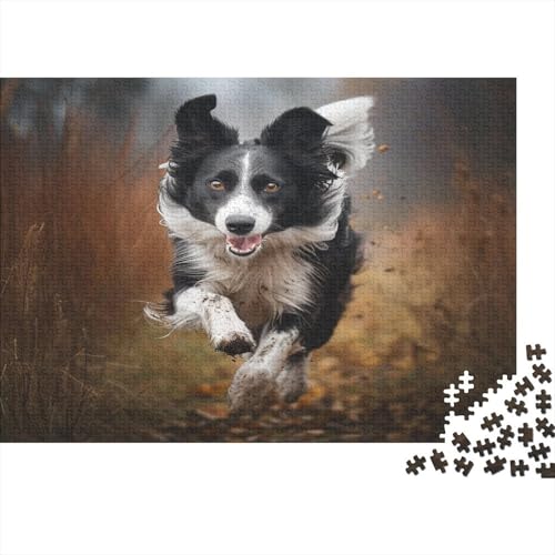 Border Collie Puzzlespiel 1000 Teile Puzzle Für Erwachsene Und Kinder Ab 14 Jahren, Puzzle-Motiv Erwachsenen Puzzlespiel Puzzel 1000pcs (75x50cm) von BOAHZCJEG