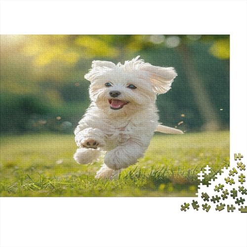 Maltese Dog Jigsaw Puzzle mit 1000 Teilen für Dekoration für Zuhause und Erwachsene, Herausforderungsspielzeug, 1000 Teile, 1000 Teile (75 x 50 cm) von BOAHZCJEG