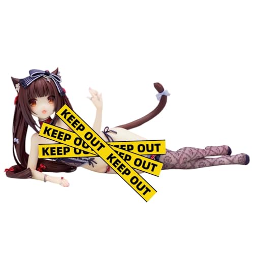 BOCGRCTY Ecchi-Figur Beauty Girl-Figuren/Anime-Figur Mädchen/Unterwäsche Ver. Süße Loli-Komplettfigur/Hentai-Figur/PVC/Spielzeugstatue/Modellsammlung/Puppengeschenke von BOCGRCTY