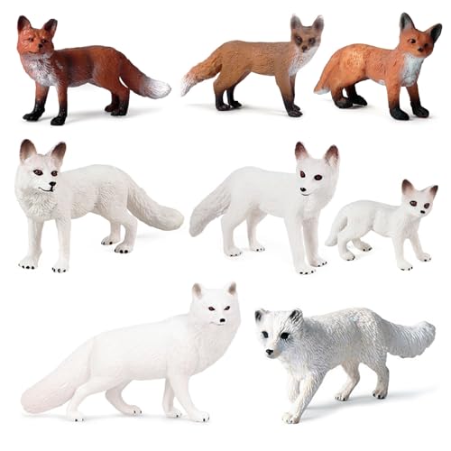 8 Stück Fuchs Spielzeugfiguren Realistisches Fuchs Figuren Modell Mini Arktische Tier Figuren Arktischer Fuchs Und Rotfüchse Figuren Set Tiere Spielzeug Kuchen Topper Für Waldgeburtstag Party von BONGSHAKALAKA