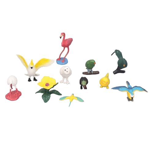 BORDSTRACT Mini-Vogelfiguren-Set, 10 Stück Verschiedene Vogelfiguren, lebensechte Details für die Heimdekoration, Lernspielzeug für Kinder von BORDSTRACT