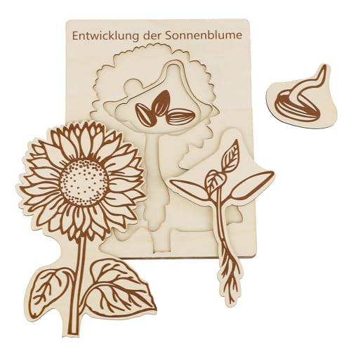 BOXOB Sonnenblumen-Lebenszyklus-Puzzle für Kinder, Hölzernes Lernspielzeug zum Lebenszyklus Montessori-Pflanzenlernspielzeug Vorschul-Lernaktivitäten für Kinder im Alter von 3 4 5 6 7 8 Jahren BOXOB Sonnenblumen-Lebenszyklus-Puzzle für Kinder, Hölzernes Lernspielzeug zum Lebenszyklus Montessori-Pflanzenlernspielzeug Vorschul-Lernaktivitäten für Kinder im Alter von 3 4 5 6 7 8 Jahren von BOXOB