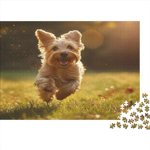 Yorkshire Terrier Puzzle 1000 Teile Erwachsene Nachhaltiges Lernspiel Für Erwachsene Herausforderung Spielzeug Geschenk Für Alle Frauen Und Männer Heimdekoration 1000 Stück (75x50cm) von BQGHCKEUF