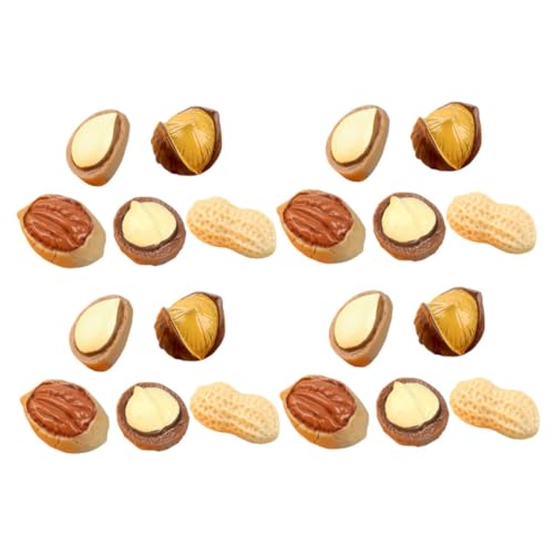 BRIGHTFUFU 20 Stück Teiliges Miniatur Dekor Realistische Resin Modelle mit Walnuss Erdnuss Pistazie Hochwertige DIY Puppenhaus Dekoration Langlebig und Detailgetreu für Miniatur Displays BRIGHTFUFU 20 Stück Teiliges Miniatur Dekor Realistische Resin Modelle mit Walnuss Erdnuss Pistazie Hochwertige DIY Puppenhaus Dekoration Langlebig und Detailgetreu für Miniatur Displays von BRIGHTFUFU