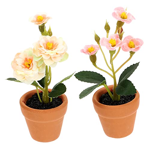 BRIGHTFUFU 2Stücke Miniatur Pflanzen im Blumentopf Künstliche Bonsai Deko für Miniaturhäuser und für Kreative Raumgestaltung Champagner und Farben BRIGHTFUFU 2Stücke Miniatur Pflanzen im Blumentopf Künstliche Bonsai Deko für Miniaturhäuser und für Kreative Raumgestaltung Champagner und Farben von BRIGHTFUFU