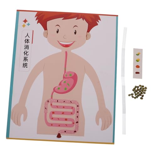 BRIGHTFUFU 4 Sätze DIY Modell Bausatz für Realistisches Handgemachtes Wissenschaftsexperiment zur Motorischer und Kognitiver Fähigkeiten für Schulunterricht Homeschooling Wissenschaftsmessen BRIGHTFUFU 4 Sätze DIY Modell Bausatz für Realistisches Handgemachtes Wissenschaftsexperiment zur Motorischer und Kognitiver Fähigkeiten für Schulunterricht Homeschooling Wissenschaftsmessen von BRIGHTFUFU