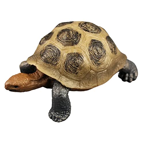 BRIGHTFUFU Realistische Landturtle Figur Aus Detailliertes Modell Einer Schildkröte Für Dekoration Und Künstliche Schildkröten Statue Für Sammler Und Tierliebhaber von BRIGHTFUFU