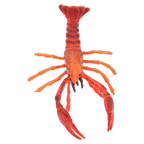 BRIGHTFUFU Realistisches Lobster Modell Leicht und Tragbar für Detailgetreue Krustentier Dekoration Pädagogisches Lobster Modell für Zuhause Schule Park BRIGHTFUFU Realistisches Lobster Modell Leicht und Tragbar für Detailgetreue Krustentier Dekoration Pädagogisches Lobster Modell für Zuhause Schule Park von BRIGHTFUFU