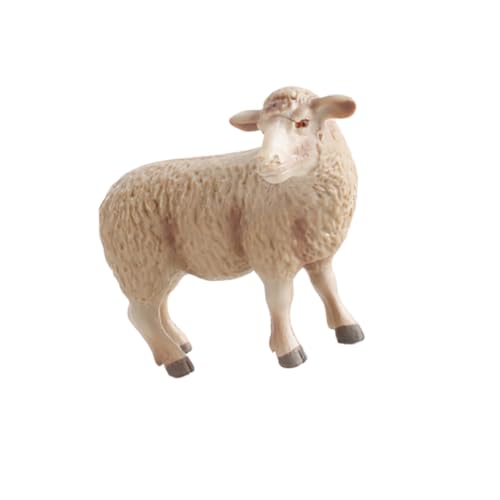 BRIGHTFUFU Realistisches Schaf Modell aus Sicherem Kunststoff Detailgetreues Tier Ornament für Kinderzimmer Dekoration Pädagogisches für Jungen und Mädchen Lebensechte Tierfigur Geschenk BRIGHTFUFU Realistisches Schaf Modell aus Sicherem Kunststoff Detailgetreues Tier Ornament für Kinderzimmer Dekoration Pädagogisches für Jungen und Mädchen Lebensechte Tierfigur Geschenk von BRIGHTFUFU