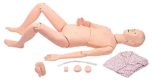 Anatomiemodell für den naturwissenschaftlichen Unterricht – Lebensgröße Training Manikin Patientenpflege Simulator Patientenpflegemittel Simulator Männliche und weibliche Pflege MANIKIN Modell von BROHN