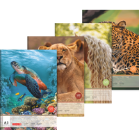 BRUNNEN 104734509 Zeichenblock, A3, 20 Blatt, sortiert BRUNNEN 104734509 Zeichenblock, A3, 20 Blatt, sortiert von BRUNNEN