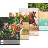 BRUNNEN 104790309 Zeichenblock, A3, 10 Blatt, sortiert BRUNNEN 104790309 Zeichenblock, A3, 10 Blatt, sortiert von BRUNNEN