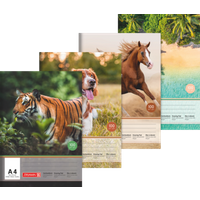 BRUNNEN 104790409 Zeichenblock, A4, 10 Blatt, sortiert BRUNNEN 104790409 Zeichenblock, A4, 10 Blatt, sortiert von BRUNNEN