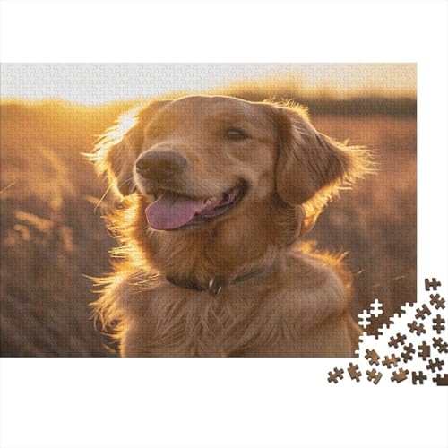 Golden Retriever Puzzle 1000 Teile,für Erwachsene, Impossible Puzzle,farbenfrohes Legespiel,Geschicklichkeitsspiel Für Die Ganze Familie,Erwachsenenpuzzle Puzzel 1000pcs (75x50cm) von BSYZPVELG