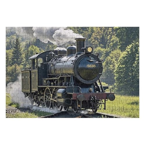 200 PCS Jigsaw Puzzles Steam Train Puzzles Personalized Puzzle Wooden Picture Puzzle for Adults Photo Puzzle Art Wall Hanging Decor for Birthday Wedding Valentine's Day Anniversary von BTCOWZRV