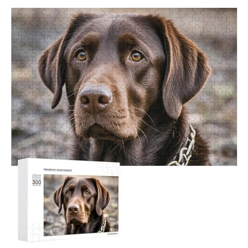 300-teiliges Puzzle – Brauner Labrador Retriever, Bilderpuzzle, herausforderndes Puzzle für Erwachsene, personalisiertes Holzpuzzle, Fotopuzzle, Geschenke, 39,9 x 27,9 cm von BTCOWZRV