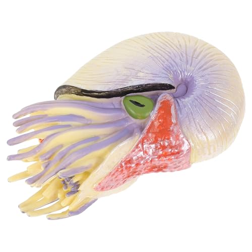 BUGUUYO Meereslebewesen-Modell Nautilus-Figur Lernspielzeug Für Meerestiere Fischmodell Spielzeug Nautilus-Spielzeug Für Kinder Papageienspielzeug Für Kinder Desktop-Ornamente PVC Violett von BUGUUYO