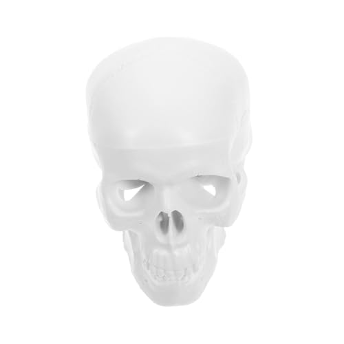 BUGUUYO Mini Menschliches Schädelmodell aus Kunststoff Abnehmbarer Unterkiefer und Schädeldecke Präzise Anatomische Details Vielseitig für Medizinische Ausbildung Unterricht und Halloween BUGUUYO Mini Menschliches Schädelmodell aus Kunststoff Abnehmbarer Unterkiefer und Schädeldecke Präzise Anatomische Details Vielseitig für Medizinische Ausbildung Unterricht und Halloween von BUGUUYO