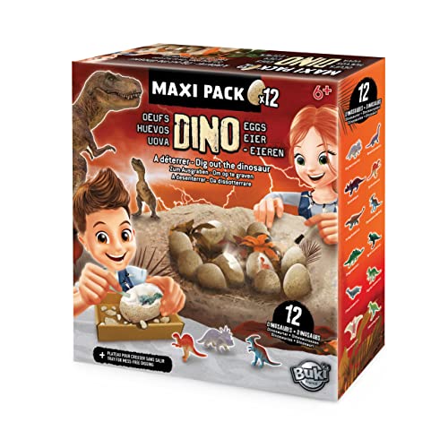 Buki France 2138 Dinosaurier Dino Eier Maxi Pack x12, EIN Ei = 6 cm, Braun von Buki