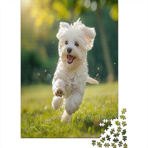 Maltese Hund Puzzle 1000 Teile - Puzzle Für Erwachsene, Puzzle, Puzzlespiel Erwachsenen Puzzlespiel Puzzel 1000pcs (75x50cm) von BXYAFEKUD