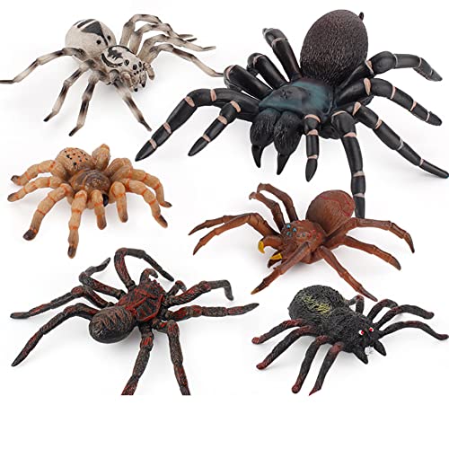 BYNYXI 6 Stücke Spinne Tierfiguren, Realistische Insekten Spinne Spielzeug PVC Modell Halloween Fasching Spinne Insekt Action Gruselige Spinnen Spielzeugfiguren Pädagogisches Spielzeug für Kinder von BYNYXI