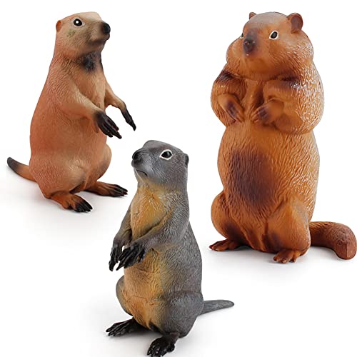 BYNYXI 3 PCS Murmeltier Spielfigur Spielzeug, 4-11cm Realistisch Murmeltier Tierfiguren PVC Kunstoff Wildtiere Sammelbar Murmeltier Tortenfigur oder Frühe Erziehung Geschenk für Kinder ab 3 Jahren von BYNYXI