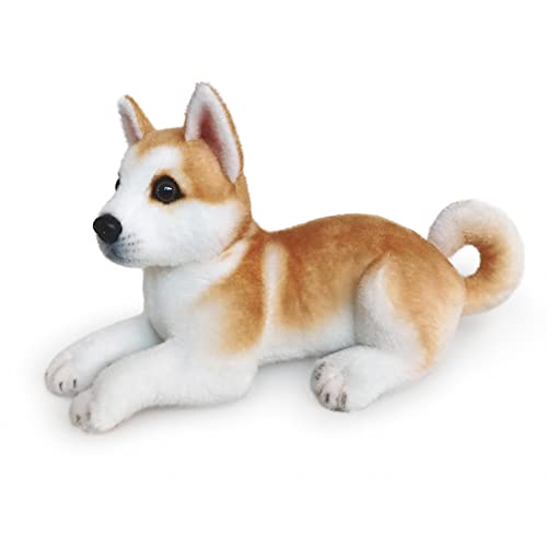 BYNYXI Akita Hund Kuscheltier Liegende 25cm, Stofftiere Hund Husky Akita Hund Lebensecht Braun Grau Plüsch Puppe Hund Plüschhusky Plüschtier Stofftier Spielzeug für Kinder Jungen Mädchen Geschenk von BYNYXI