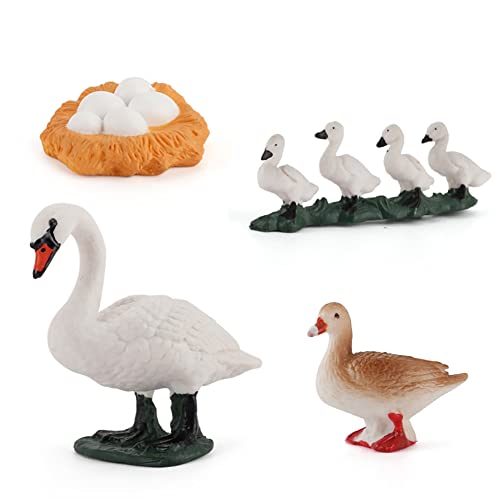 BYNYXI Lebenszyklus Schwan, 4-Stufiger Wachstumszyklus Tier Modell Spielzeug PVC Kunstoff Kobra Krokodil Garnelen Lachs Oktopus Ente Huhn Hahn Schwan Schildkröte Tierfiguren Lernspielzeug für Kinder von BYNYXI