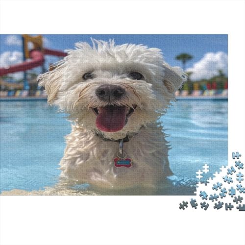 Maltese Hund Puzzlespiel 1000 Teile Jigsaw Puzzle 1000 Puzzle FüR Erwachsene Kinder Senioren Erwachsenen Puzzlespiel Puzzel 1000pcs (75x50cm) von BZAVEODFS