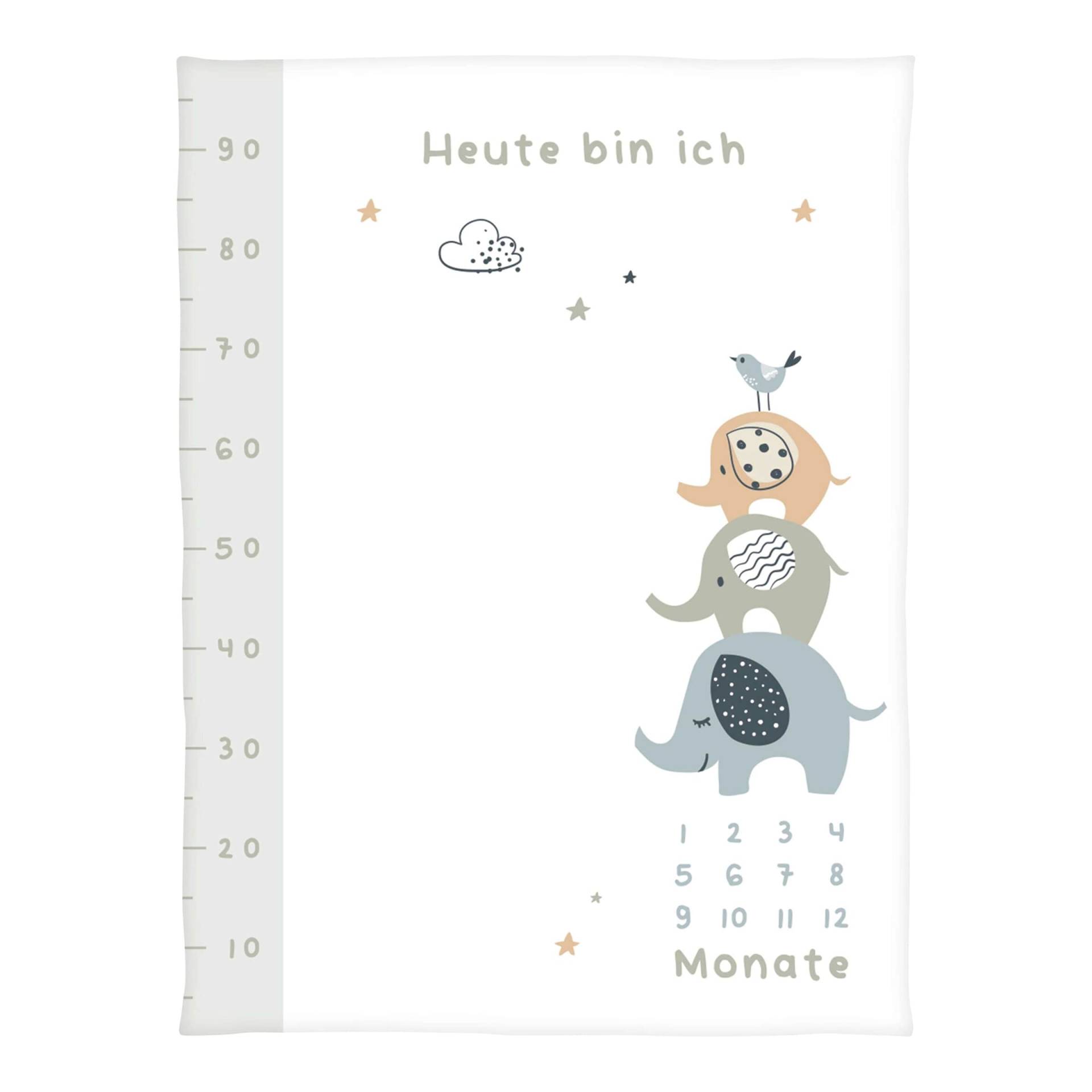 Baby Best Babydecke Microfaserflausch Meilenstein 75x100 cm Baby Best Babydecke Microfaserflausch Meilenstein 75x100 cm von Baby Best