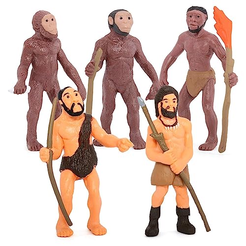 Bamberg Simulation Menschliche Evolutions Modelle Primitive Figurine Wachstums Zyklus Menschliche Action Figuren Lernspielzeug für Kinder von Bamberg