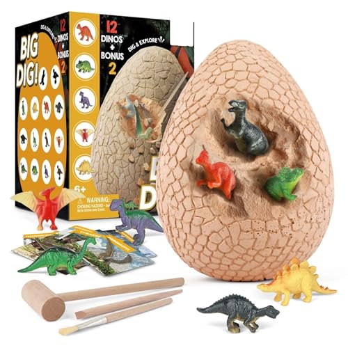 12 Stück Dinosaurier Eier Party Supplies Spielzeug Spiele Fossilien Dino Eier Dig Kit Dino Eier Ausgraben Dinosaurier Party Favors STEM Science Spielzeug für Kinder im Alter von 4 + (XX-Large) von Bankeep