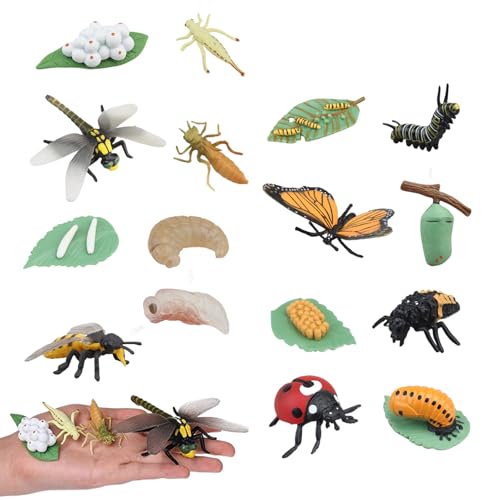 Banziaju Insektenspielzeuglebenszyklusspielzeug für Kinder, 4 Sätze A Bugs Life Toys beinhalten Schmetterling, Honigbiene, Libelle und Marienkäfer, Plastikwanzen, frühe Bildungstierfiguren für Kinder von Banziaju