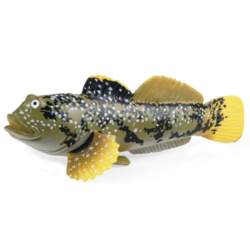 Banziaju Sea Animal Toys Realistic Mudskipper Animal Figuren für Wissenschaftsprojekt & Kuchen -Topper, frühe pädagogische Tierfiguren Spielzeug für Kinder und Kleinkinder, 4.3x1.4x2.2 von Banziaju