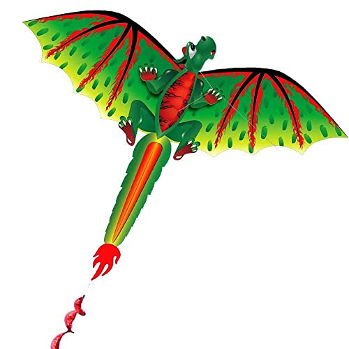 Baoblaze 3D Drachen Kite Einzelnen Linie W/Familie Outdoor Sport Spielzeug von Baoblaze