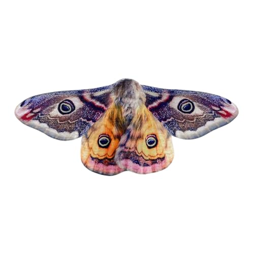 Baoblaze Moth Wing -Mottenkostüm, Bequem Mottenkostümflügel, Mottenflügel mit elastischen, verstellbaren Trägern, Kostüm, Make-up-Requisite, Partykostüm Baoblaze Moth Wing -Mottenkostüm, Bequem Mottenkostümflügel, Mottenflügel mit elastischen, verstellbaren Trägern, Kostüm, Make-up-Requisite, Partykostüm von Baoblaze